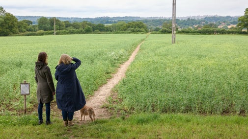 Two women and a small dog standing at the edge of a field of crops, looking at the view